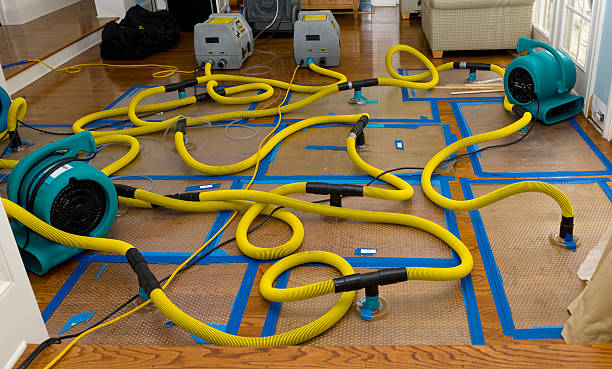 Professional Water Damage Restoration technician working in Touchet, WA